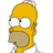 homer_nvfreak