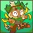 hedera